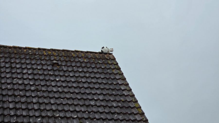 Technische Hilfeleistung_0