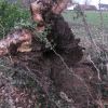 Einsatzfoto