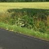 Einsatzfoto